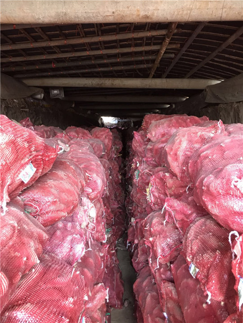 河南紅薯種地窖